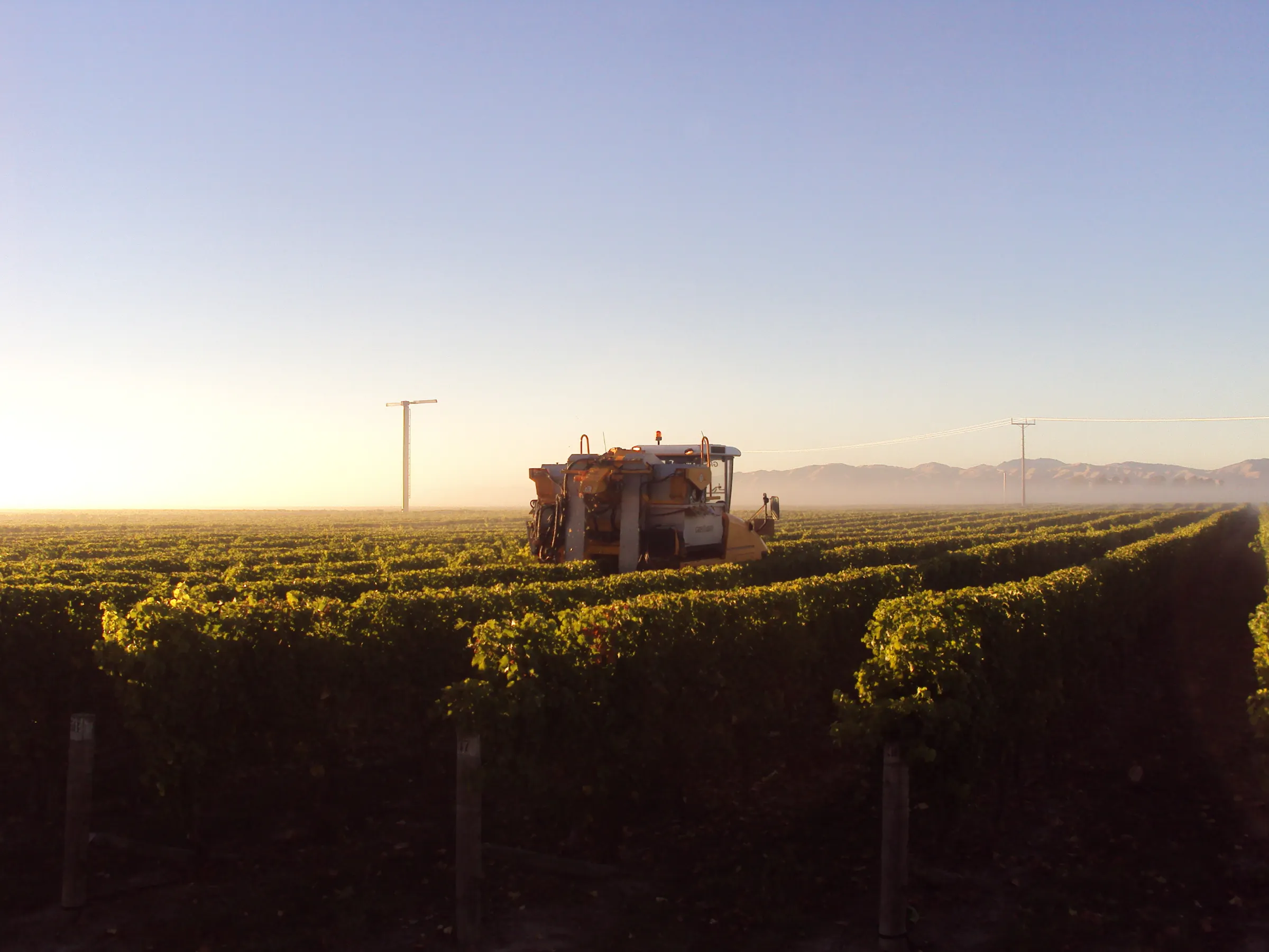 Harvest time
