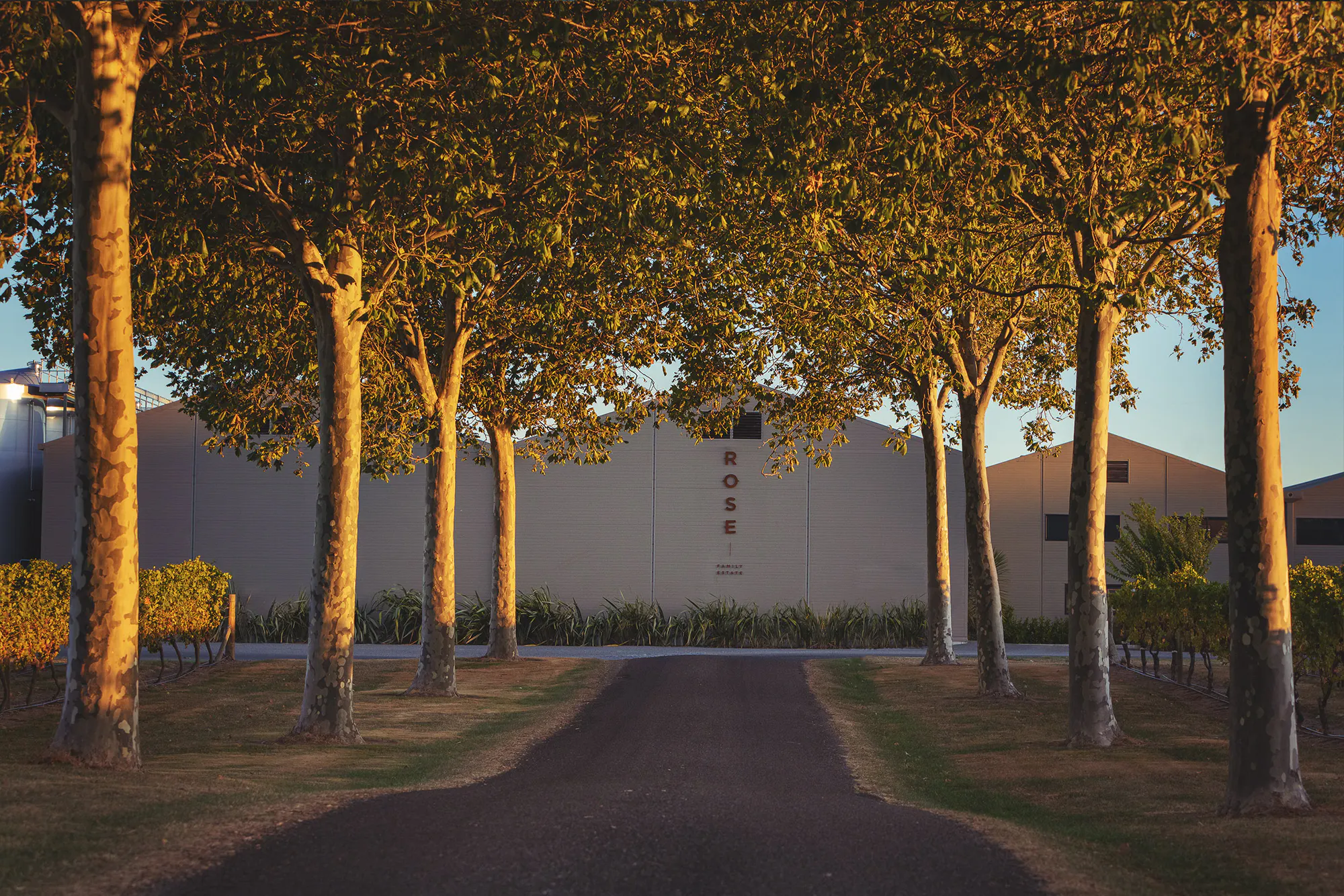 Driveway Winery